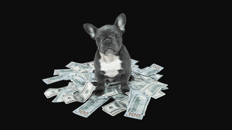 Read more about the article How much does branding cost, and what makes up the price?