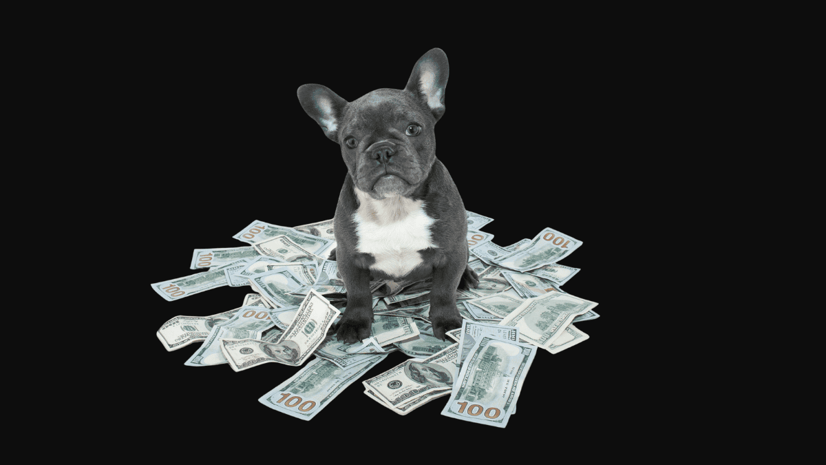 You are currently viewing How much does branding cost, and what makes up the price?